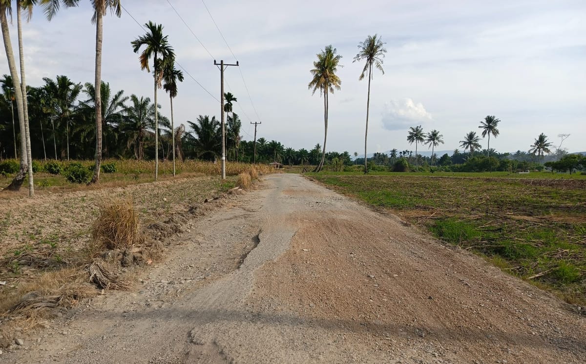 Adanya IJD Warga Aceh Tenggara Lebih Mudah Ambil Hasil Panen
