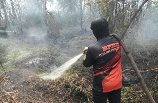 Api Mengintai di Bawah Gambut, 109 Karhutla Hanguskan 42 Hektare di Palangka Raya