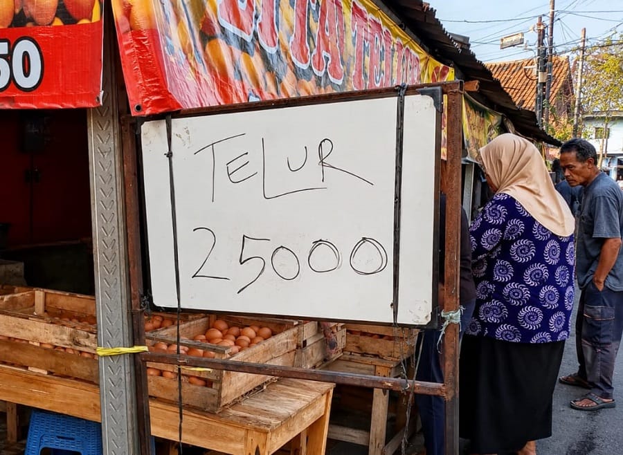 Harga Telur Kembali Naik, Ibu Rumah Tangga Mulai Hitung Ulang Belanja