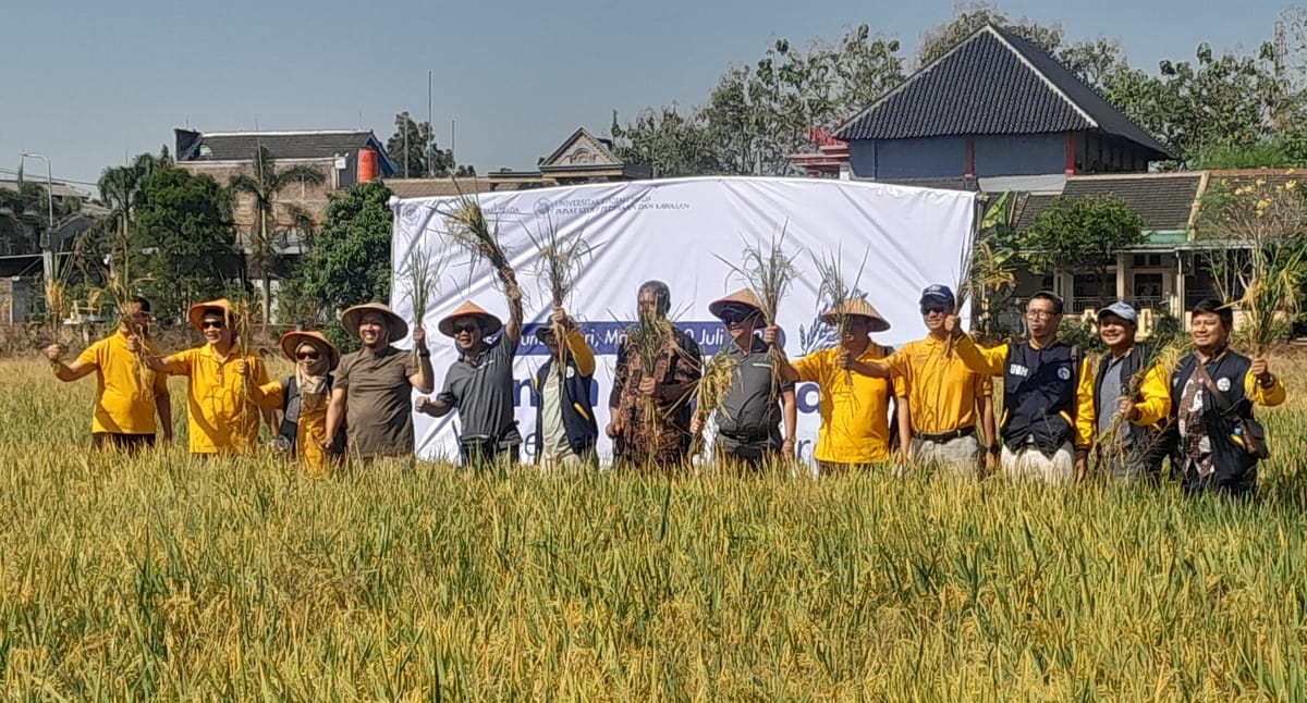 UGM  Kenalkan Varietas Padi Gamagora di Gunungsari Madiun