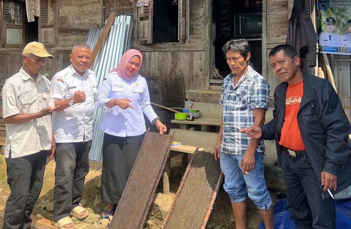 Tembakau Lumindai yang Pernah Mendunia Terus Dibangkitkan, DKP3 Sawahlunto Genjot SDM Petani Lewat Pelatihan Intensif