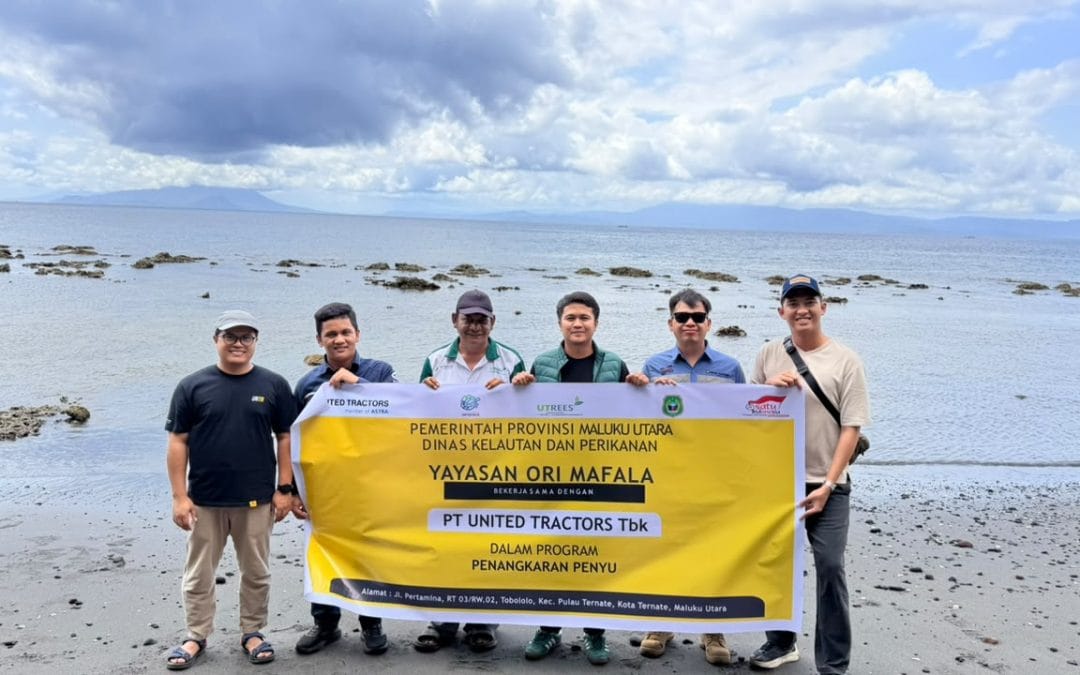 United Tractors Bersama dengan Yayasan Ori Ma Fala Lepasliarkan Tukik Penyu di Ternate