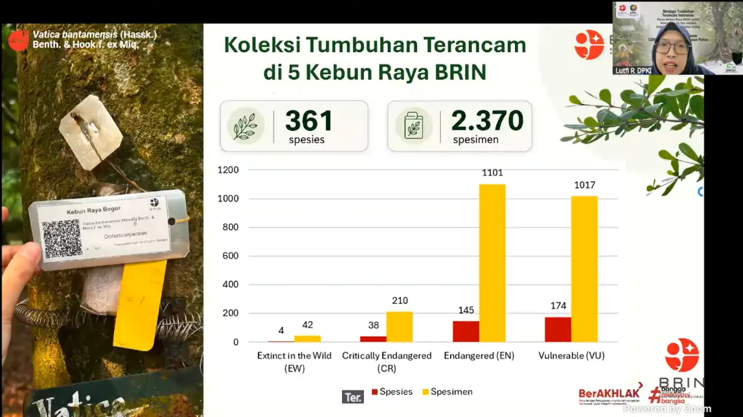 Tumbuhan Terancam Punah Dikoleksi di 5 Kebun Raya BRIN