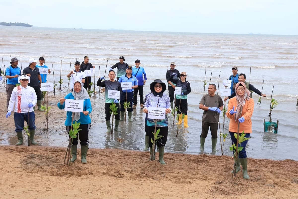 Mangrove Tanaman Dewa yang Kokoh Menahan Ombak, Dapat Menjaga Ekosistem Laut dan Pantai