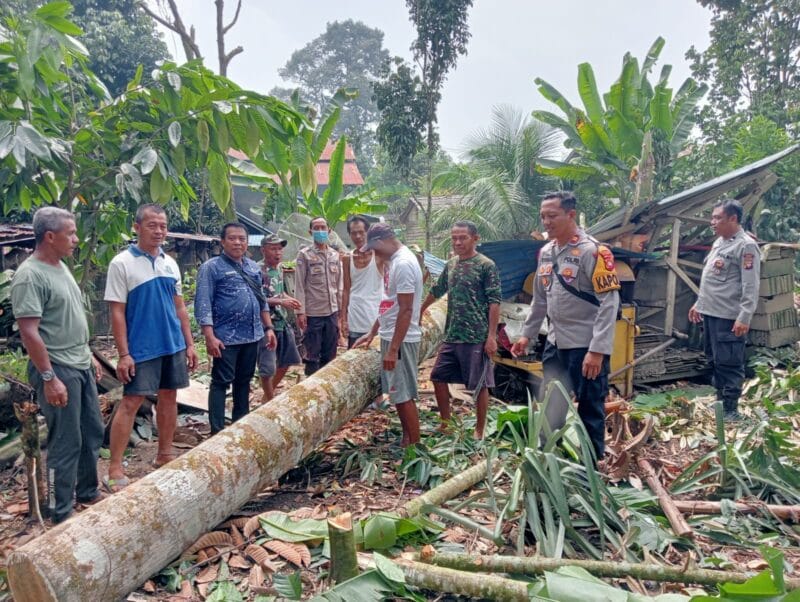 Pohon Tumbang Terjang Empat Rumah di Landak, Kerugian Ditaksir Rp60 Juta