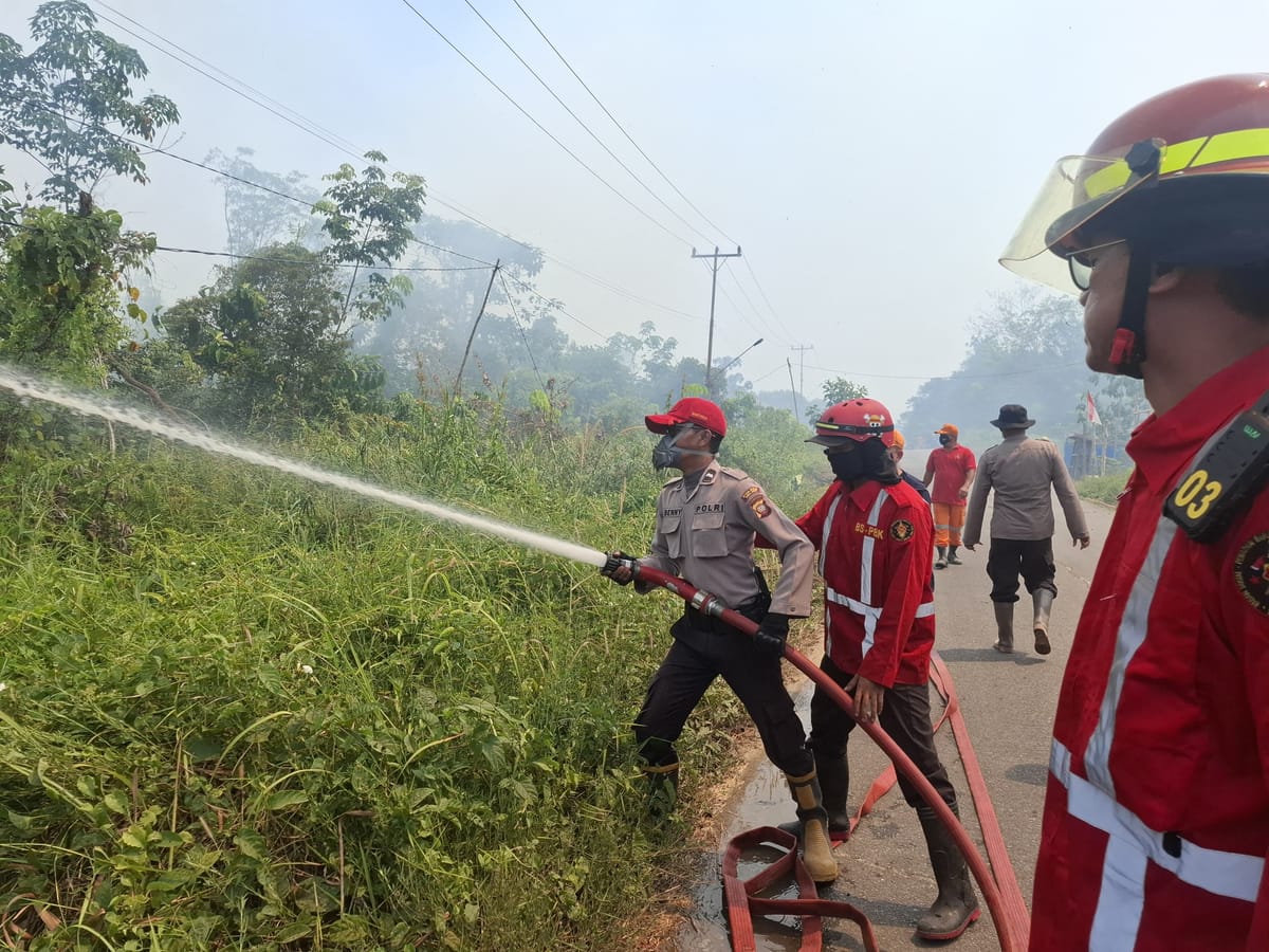 Karhutla Melawi Kembali Berkobar Satgas Gabungan Berjibaku Padamkan Api
