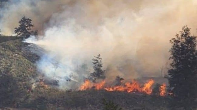 Pemkab Puncak Papua Tengah Menetapkan 14 Hari Tanggap Darurat Akibat Fenomena El Nino