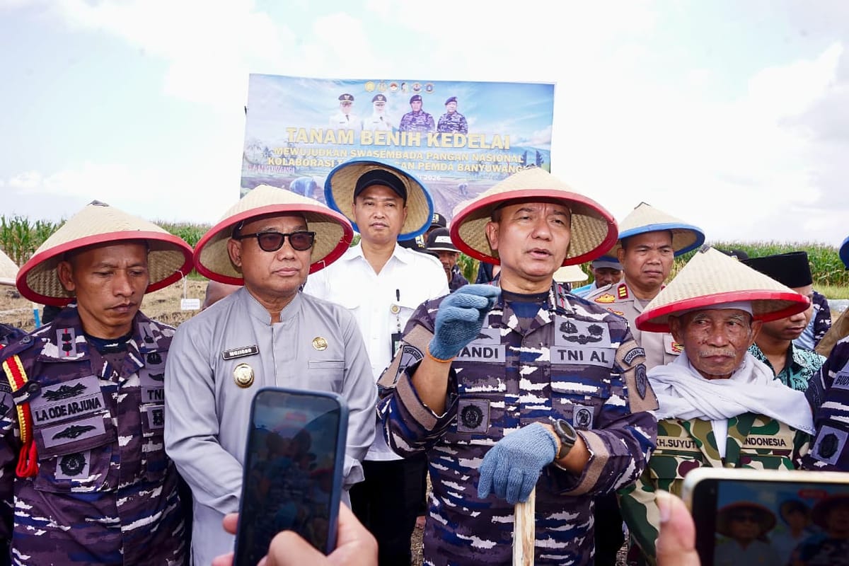 Dukung Kedelai Nasional, TNI AL dan Pemkab Banyuwangi Kelola Lahan 1.200 Hektare