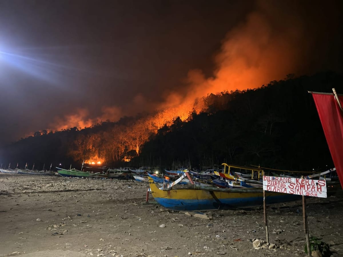 Kebakaran Melanda 6,5 Hektare Hutan Gunung Watangan Jember, Api Padam Setelah Lima Jam