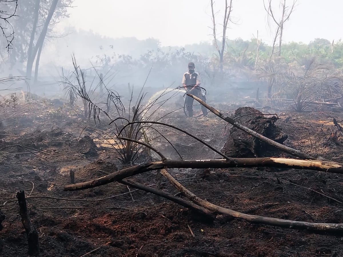 Penanganan Karhutla di Desa Tanjung Leban Kabupaten Bengkalis Terus Dimaksimalkan