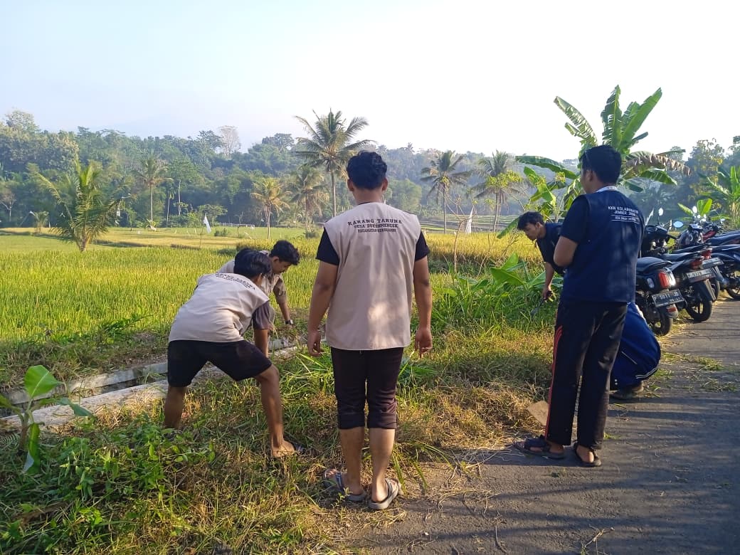Karang Taruna dan Mahasiswa KKN Bersihkan Sawah Dukuh Mencek, Gotong Royong Jadi Kekuatan Desa