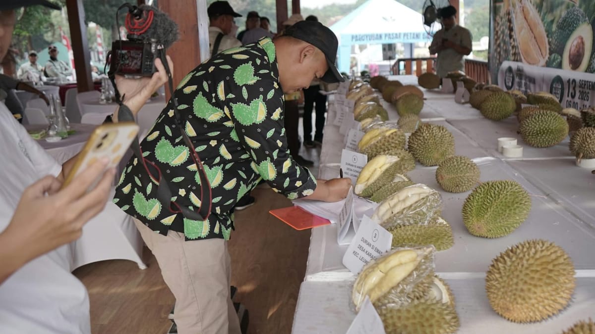 Komoditas Buah Lokal Pemkab Bogor Miliki Peluang Bersaing Dipasar Domestik Dan Internasional
