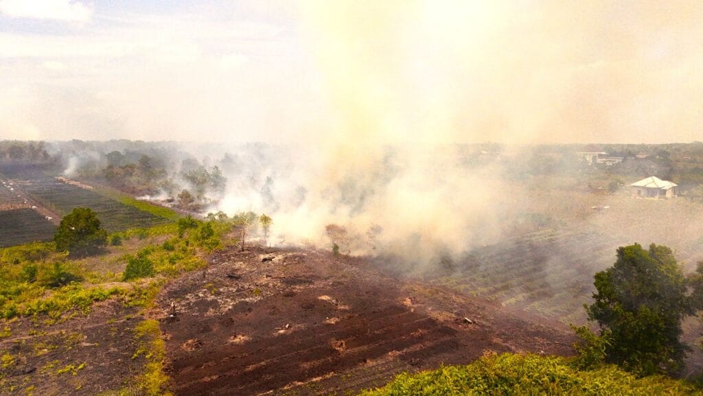 WALHI Desak Pencabutan Izin 14 Konsesi yang Terbakar