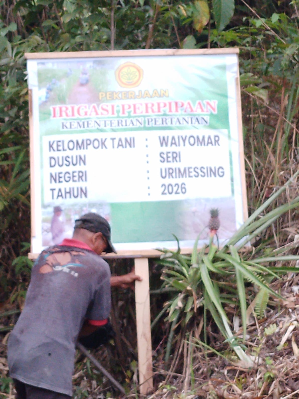 Poktan Waiyomar Desa Urimesing Ambon Menerima Bantuan Proyek Irigasi Perpipaan Untuk budidaya Padi  gogo