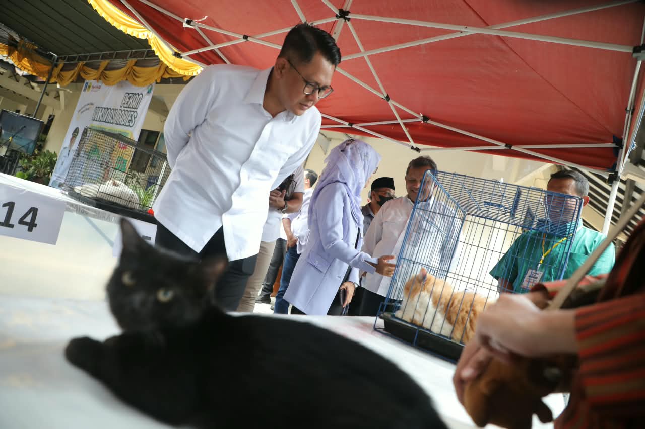 Peringati Hari Rabies Internasional, Pemkab Sleman Gelar Vaksinasi Rabies Gratis