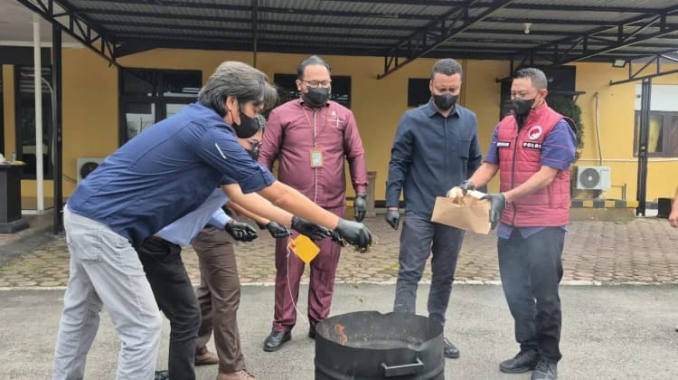 Jajaran Polres Mimika Musnahkan Barang Bukti Narkotika Jenis Ganja