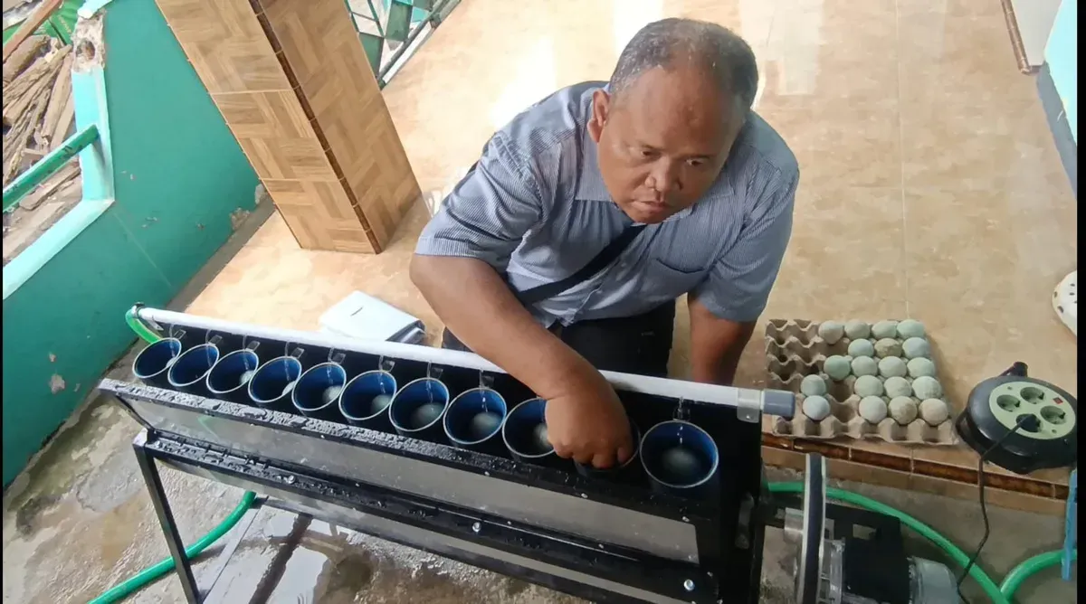 Ciptakan Mesin Pencuci Telur Asin Otomatis, Polije Bantu UMKM Hemat Biaya dan Tenaga