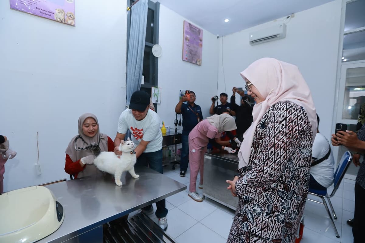 Cegah Penularan Rabies, Ratusan Hewan di Banyuwangi Divaksin Gratis