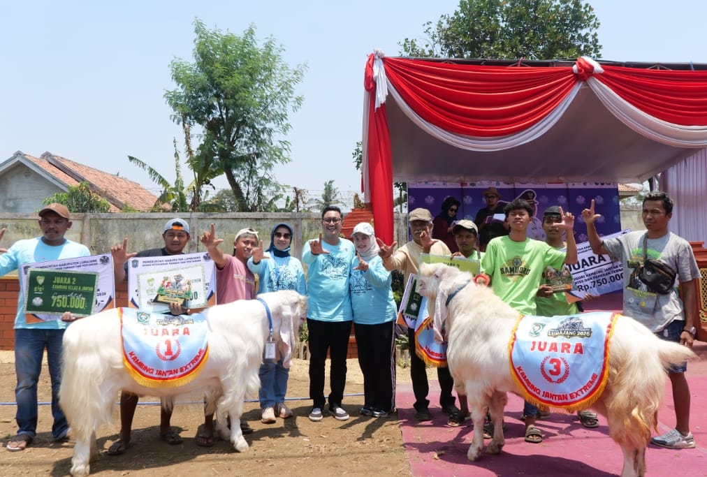 Lumajang Adakan Kontes dan Pameran Ternak, Wadah bagi Peternak Tunjukkan Hasil Budidaya