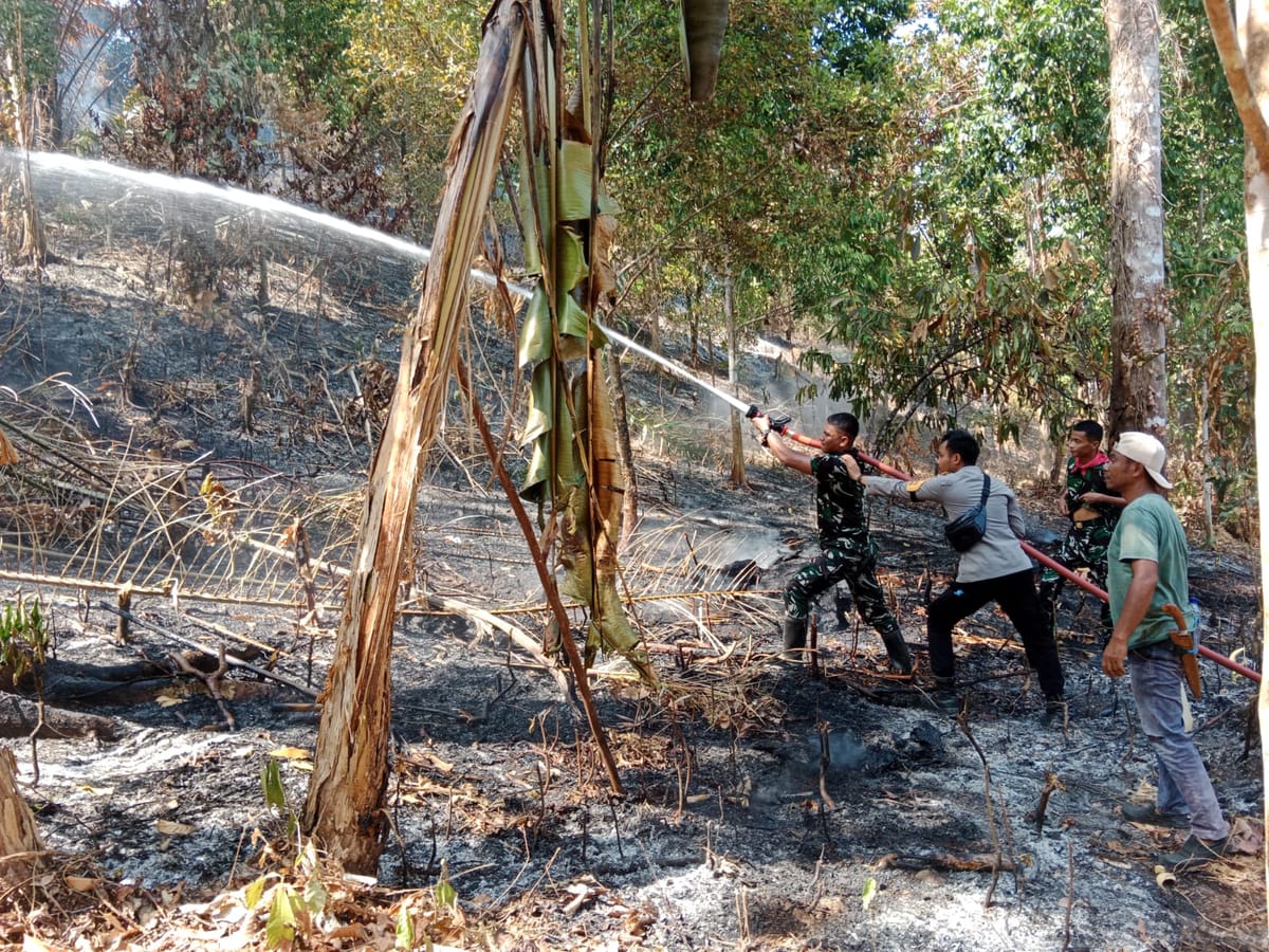 3 Hektare Gunung Tanah Rata Terbakar, Polri-TNI-Warga Berpacu Cegah Api Meluas
