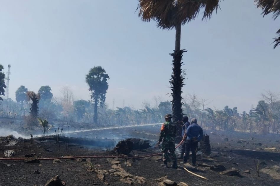 Api Lahap Kebun Warga Babinsa Kodim 1425/Jeneponto Selamatkan lahan Pertanian