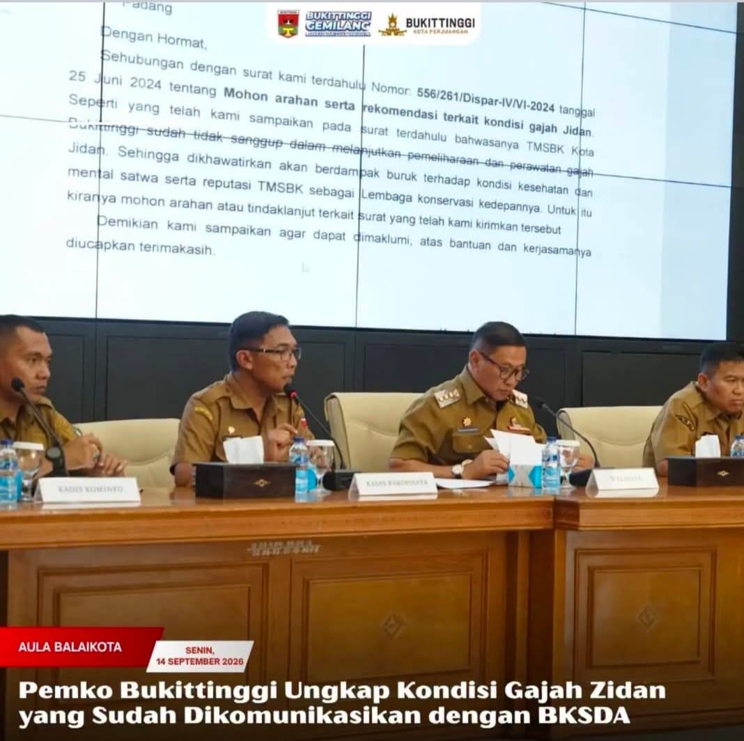 Pemko Bukittinggi Ungkap Kondisi Gajah Zidan yang Sudah Dikomunikasikan dengan BKSDA