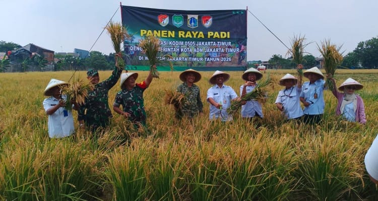Kodim 0505/JT Kolaborasi dengan Pusbang Benih Panen Raya Jenis Inpari 32