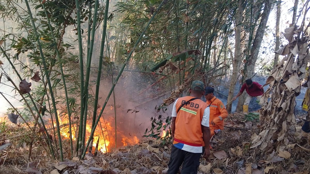 Selama Kemarau di Banyumas, Terjadi 55 Kebakaran pada 55,7 Hektare Lahan