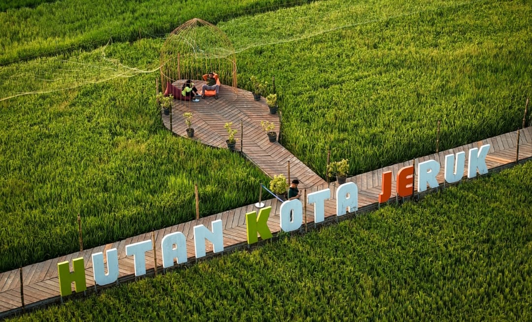 Garden Fest Hidupkan Hutan Kota Jeruk, Surabaya Uji Wisata Malam Berbasis Edufarm