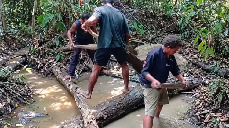 Pelepah Sagu Jadi Alat Timba Tradisional Masyarakat Wambon Di Boven Digoel