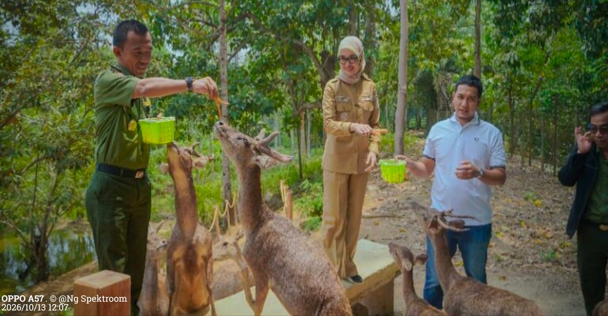 Wagub Jihan Dorong Konsep Pengelolaan Hutan Berbasis Ekonomi, Melalui Pengembangan Komoditas Unggulan