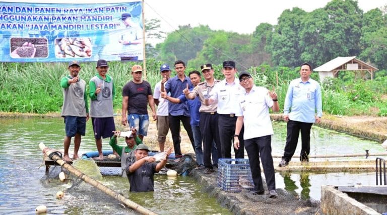Budidaya Ikan di Lampung Selatan, Tempati Urutan Kedua Terbanyak di Provinsi Lampung