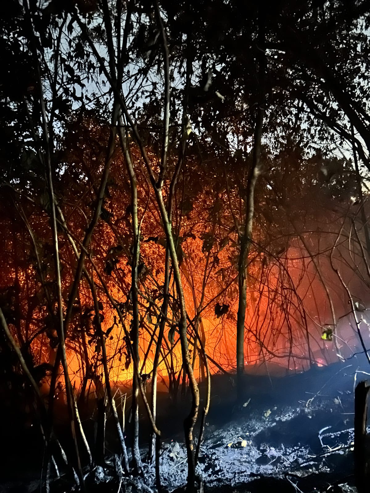 Kebakaran Melanda Kawasan Gunung Nona, Damkar Ambon Kerahkan 26 Personel