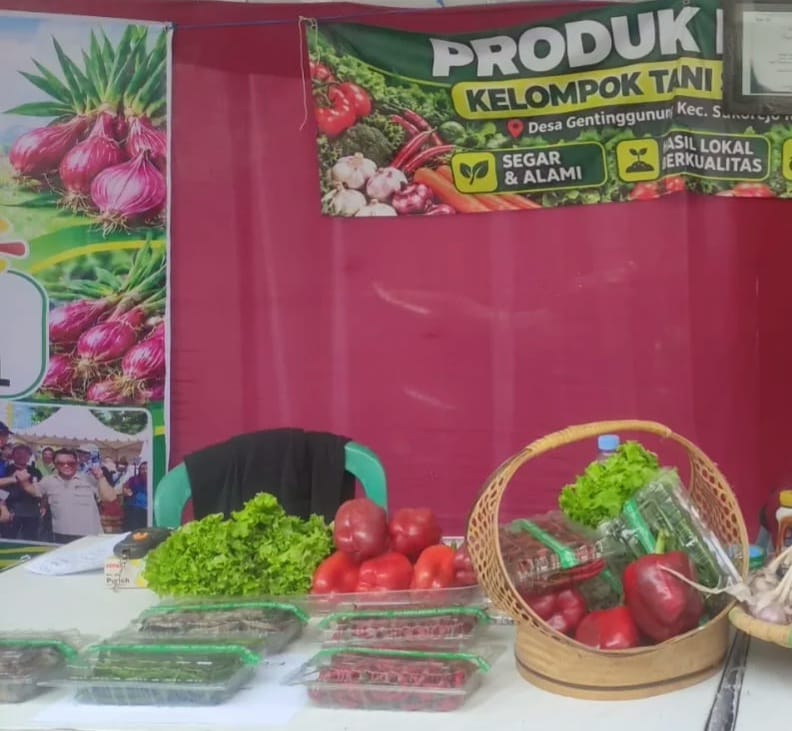Keberhasilan Petani Milenial Budidaya Paprika Menjadi Produk Unggulan Kendal