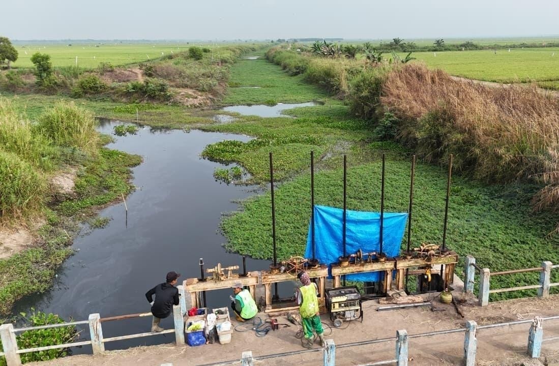 8.000 Ha Sawah di Lampung Selamat dari Intrusi Air Laut