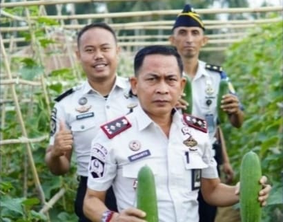 Program Pembinaan Kemandirian, Lapas Jailolo Panen Hasil Pertanian Tanaman Sayur Sawi dan Mentimun