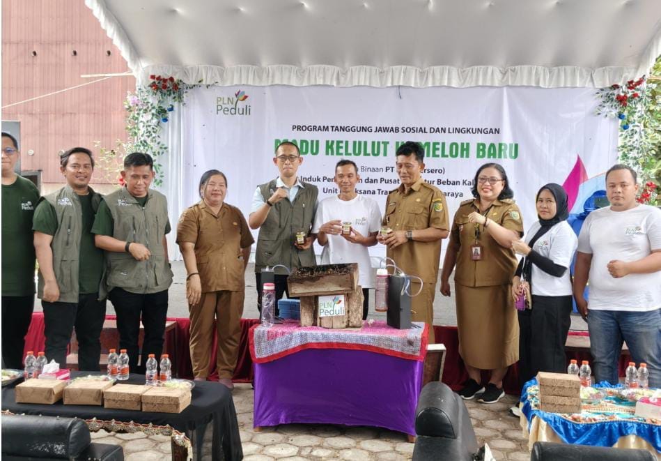 Cegah Karhutla Sambil Cari Penghasilan, PLN Dorong Budidaya Madu Kelulut