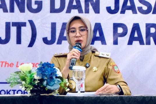 Gali Potensi PAD dari Parkir, Perlu Dialog dengan Juru Parkir