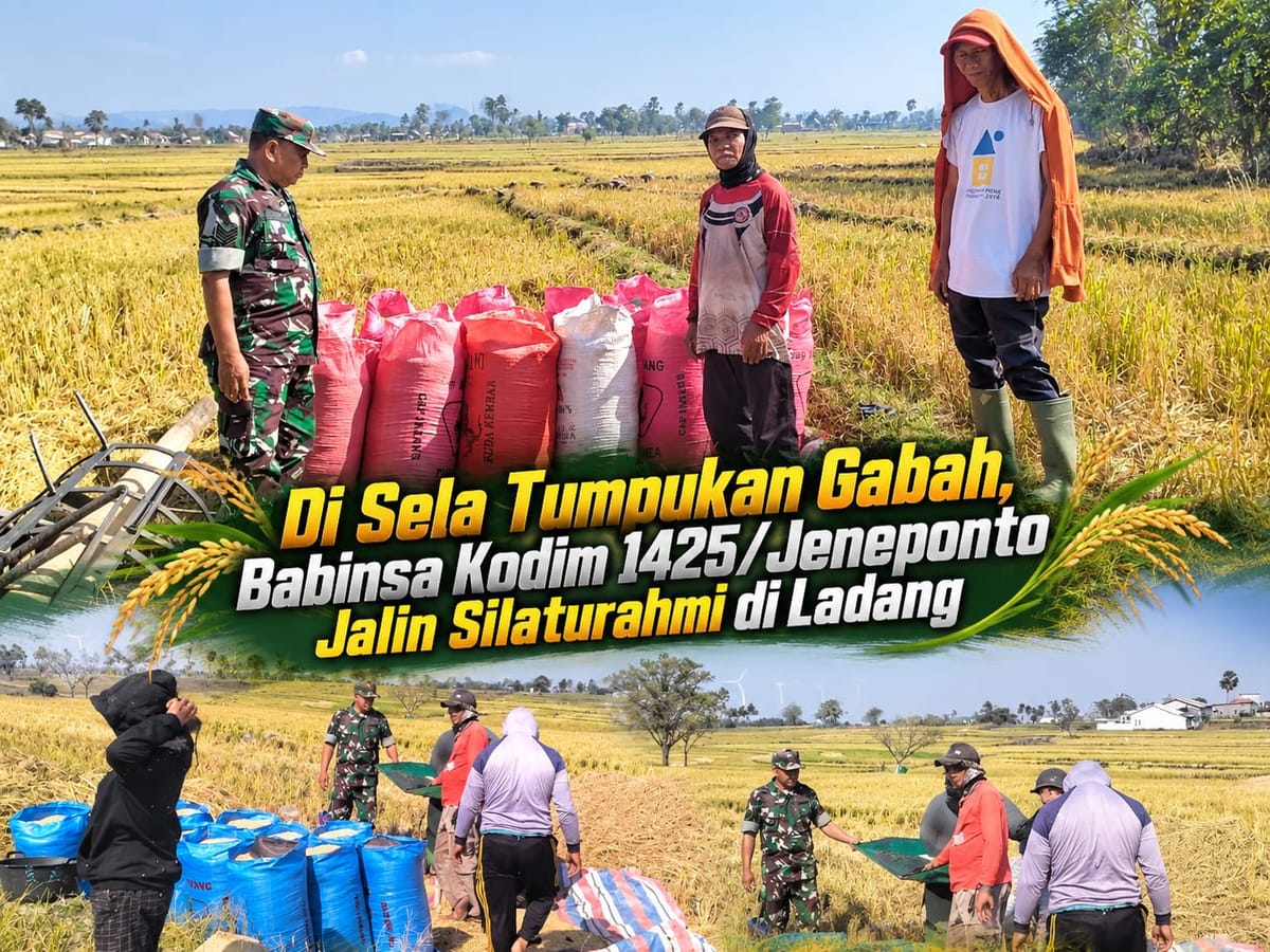 Di Sela Tumpukan Gabah,Babinsa Kodim 1425 Jeneponto Jalin Silaturrahmi di Ladang
