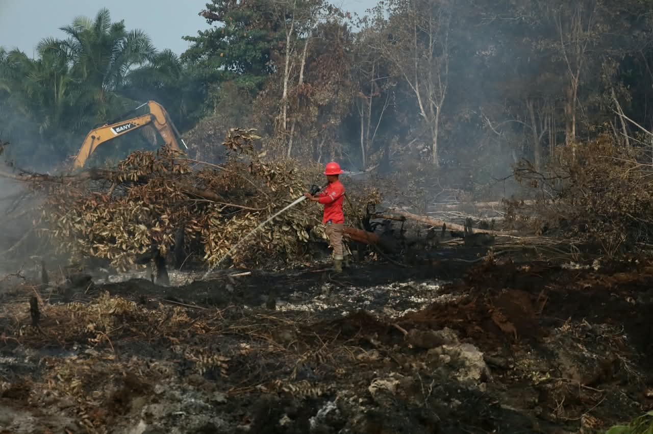 Penanganan Karhutla Maksimal, Riau Dikeluarkan Dari Daftar Prioritas Nasional