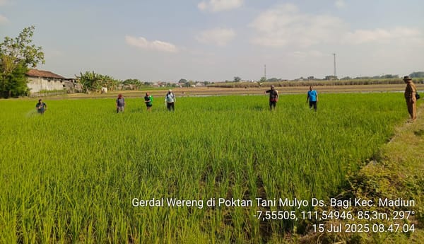 Gerakan Pengendalian Hama Wereng di desa Bagi Kecamatan Madiun (15 Juli 2025 )