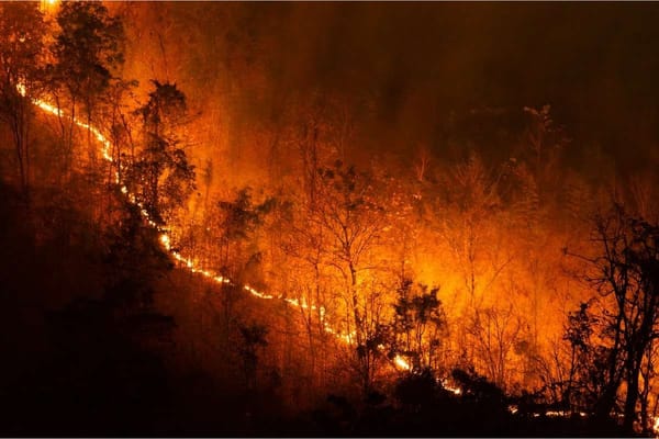 Ratusan Hektare Lahan Terbakar, Solok Tetapkan Status Darurat