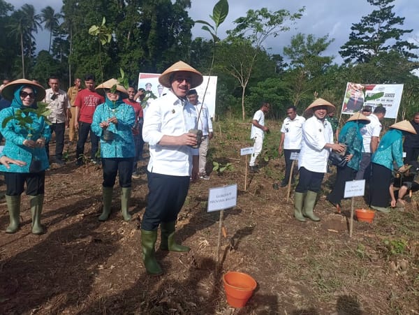Gubernur Maluku Dorong Kopi Lokal SBT Jadi Primadona Ekonomi Baru