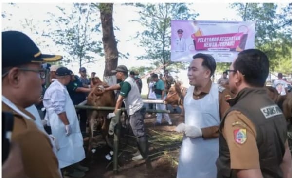 Pemkab Jember Wujudkan Sektor Pariwisata Penggerak Ekonomi Lokal