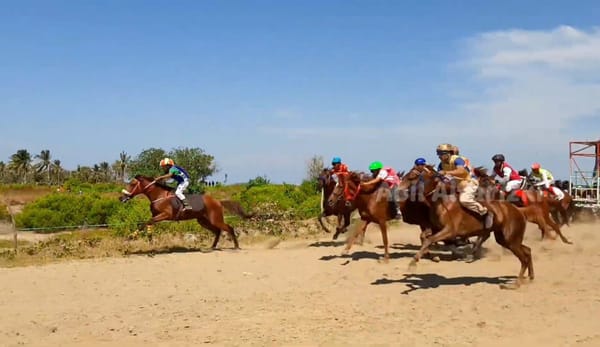 Pacuan Kuda Tradisional Jeneponto Sulawesi Selatan
