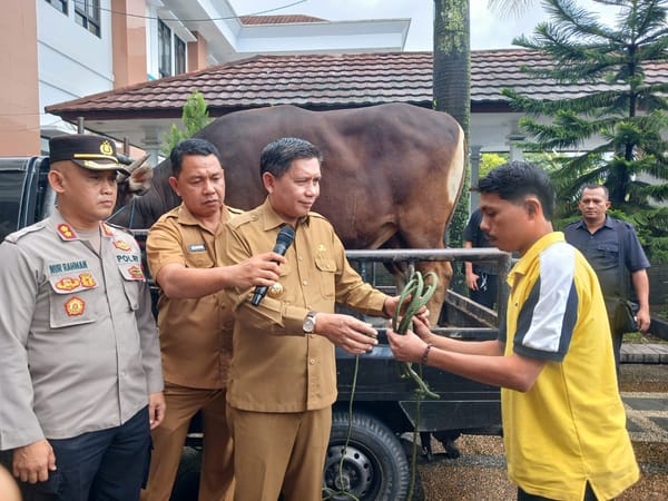 Pemkot Ambon Serahkan Ratusan Hewan Kurban Kepada Masjid dan Lembaga Agama
