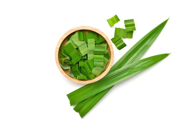 Manfaat Daun Pandan yang Jarang Diketahui!