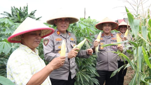 Dukung Swasembada Pangan Nasional, Polres Karimun Gelar Panen Raya Jagung Serentak