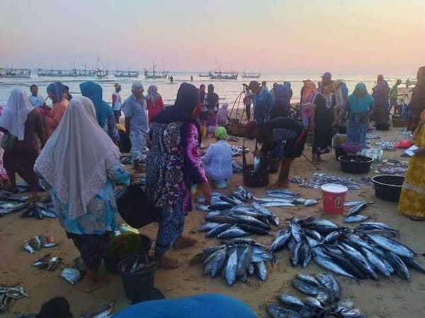 Surga Ikan Segar di Pesisir Utara Sumenep