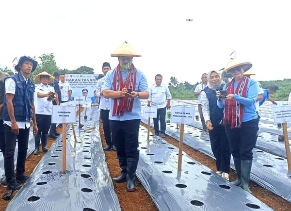 Gubernur Pimpin Gerakan Tanam 100 Ribu Anakan Cabai di Maluku